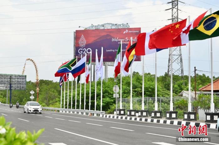 印尼巴厘島道路上G20成員國的國旗及歡迎海報(bào)。 中新社記者 李志華 攝