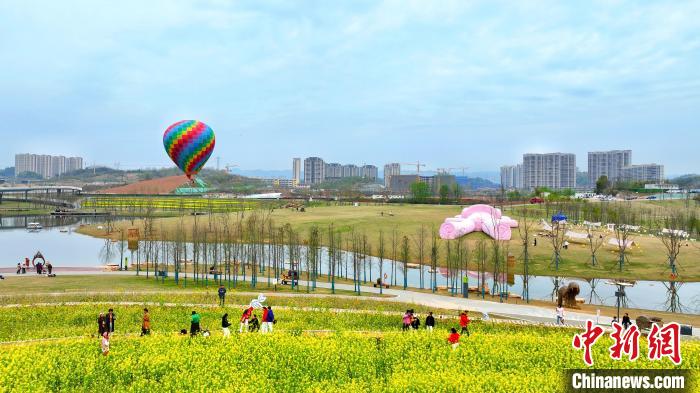 湖北宜昌卷橋河濕地公園內(nèi)，市民相伴享受都市里的田園之樂 周星亮 攝