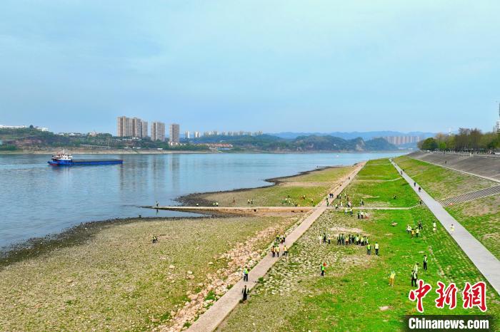 在宜昌城區(qū)長(zhǎng)江岸畔，市民化身“護(hù)江使者”沿江而行 周星亮 攝